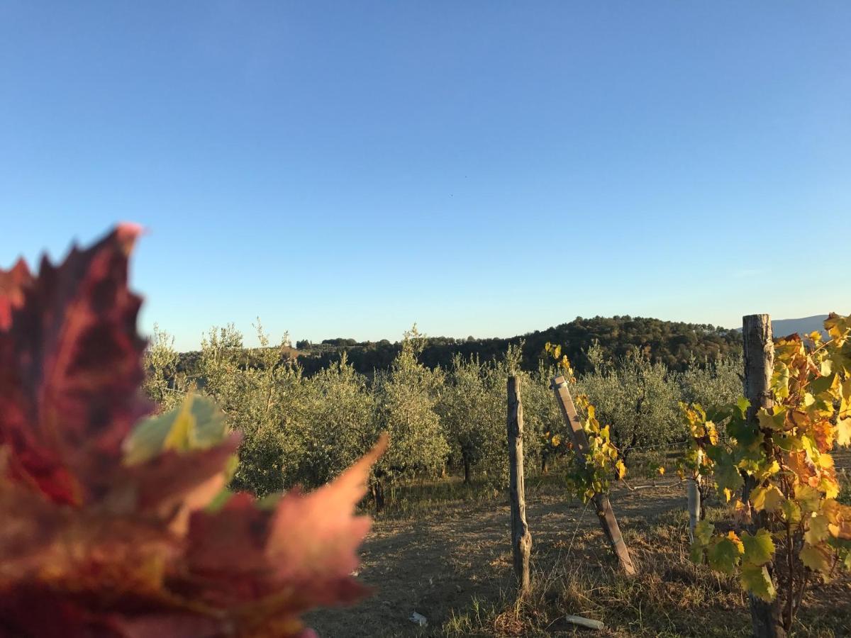 Apartmán Giaggiolo Poggibonsi Exteriér fotografie